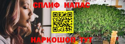 PSILOCYBIN Беслан